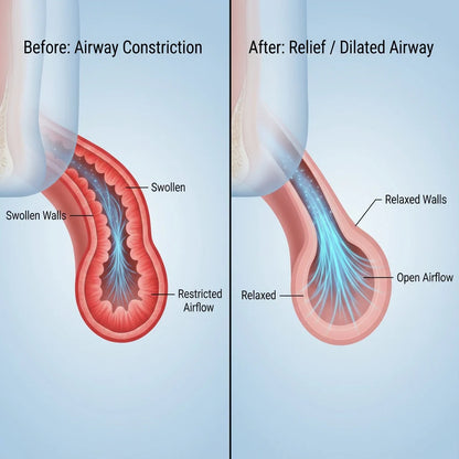 Dr Mesh Portable Nebulizer